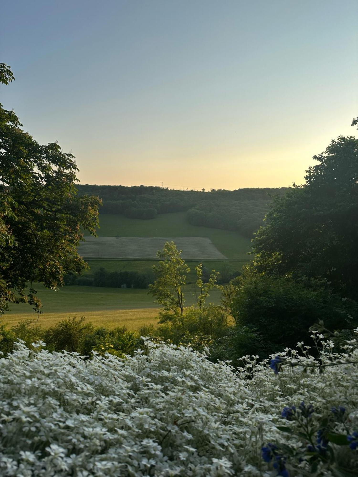 Chateau De Champrenault, Voyagez Dans Le Temps Exteriör bild