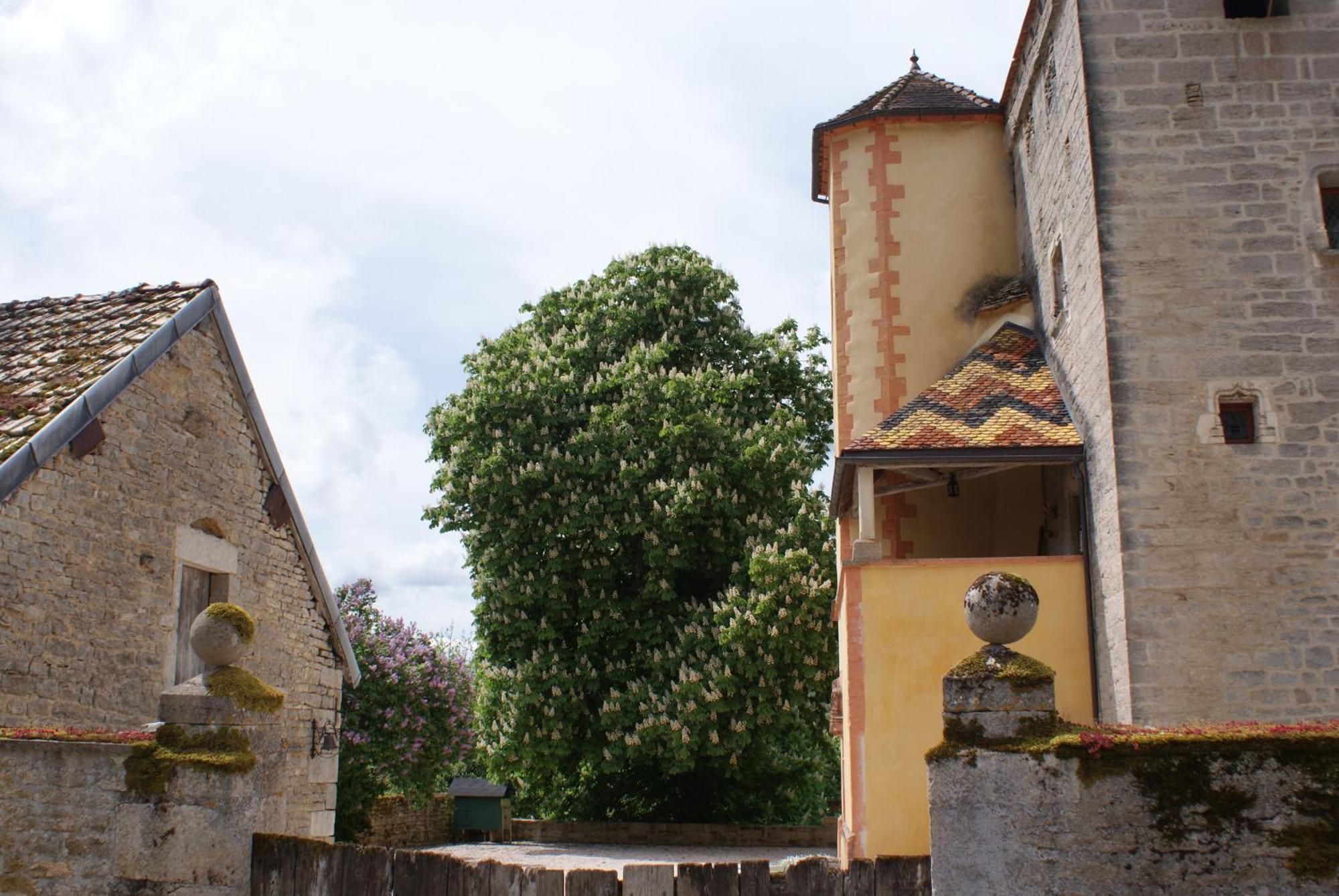 Chateau De Champrenault, Voyagez Dans Le Temps Exteriör bild